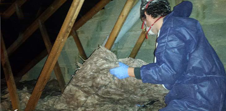Loft and Roof Insulation
